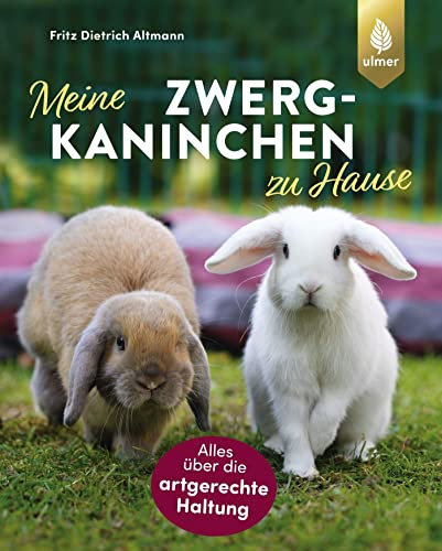 Meine Zwergkaninchen zu Hause: Alles über die artgerechte Haltung