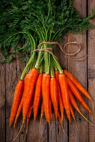 Sachet de graines de Carotte longue de Colmar=Flakkee - Sachet de 6 grammes - Graines de style