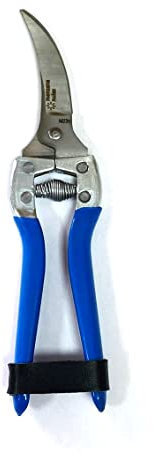 TodoCultivo Tijera para ajos Manzana Nules mod M23c. Tijera para corte y recoleccion de ajos profesional, Azul, 21 cms