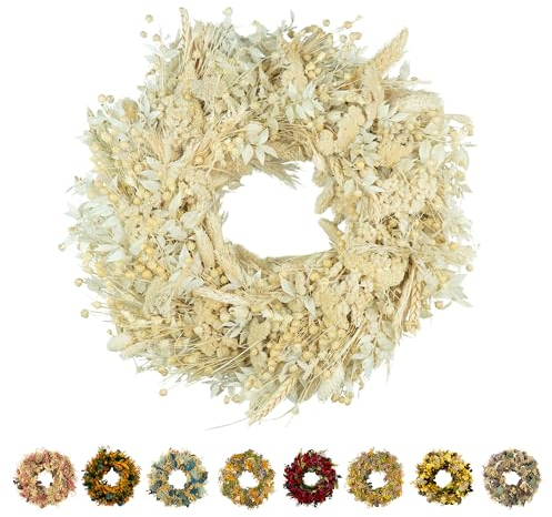 PHILARO Trockenblumenkranz Beige Ø 30cm - kein Plastik I Trockenblumen Premium Qualität aus Europa I Trockenblumen Kranz für Haustür, Wand und Tisch