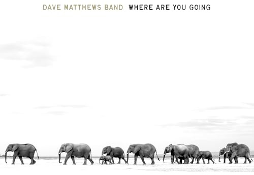 WHERE ARE YOU GOING: THE SINGLES (2LP)