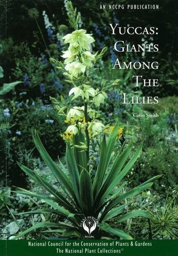 Yuccas: Giants Among the Lillies