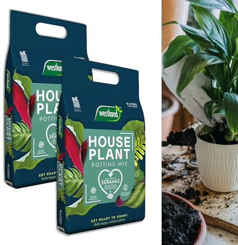 Carbeth Plants - Peat Free Compost for Indoor Plants - 2 x 10 Litre Bags - House Plant Potting Mix - Promotes Healthy Root Growth