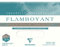 Clairefontaine 975065C Flamboyant Aquarellpapier Block (4-seitig geleimt, 20 Blätter, 31 x 41 cm, 300 g, mit zerfransten Rand, mit starker Struktur, ideal für spezielle Effekte) extraweiß