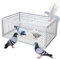 ASQUAR Trampa Para Pájaros Con Entrada Unidireccional Jaula Trampa Para Palomas Fácil De Montar Con Diseño A Prueba De Fugas Portátil 4 Importada Recolección Automática De Palomas Adecuada(100x60x26CM