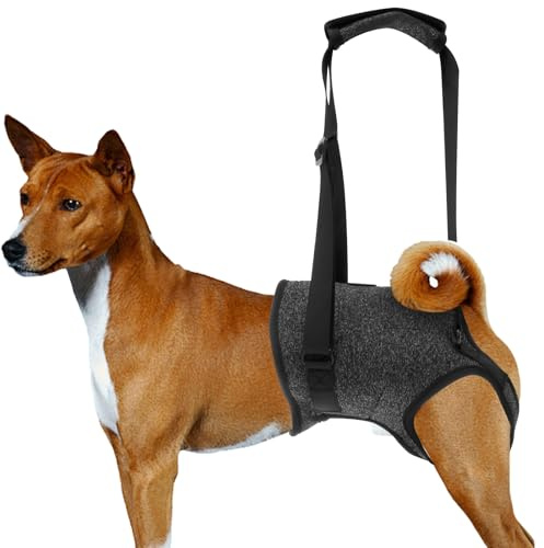 Fyeme Aide au Transport pour Chien - Patte arrière réglable - avec poignée Confortable et - pour blessure, Handicap, arthrite, Jambe de Chien - Aide à la rééducation (Taille L)