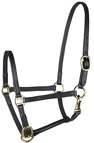 WALDHAUSEN Star Fohlenvorführhalfter, Leder, MSH, schwarz