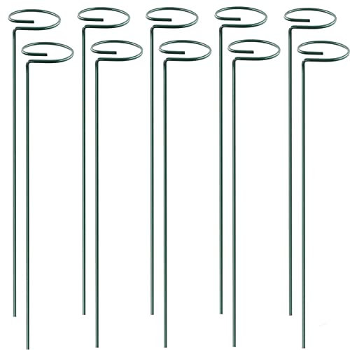 KHBNHJ Lot de 10 tuteurs de support de 45 cm pour plantes de jardin, tige unique, anneau de support en métal pour orchidée, glaïeul, iris dahlia, amaryllis, rose et lys