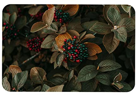 VBFOFBV Teppich für Schlafzimmer, Badematte, Küchenteppich, waschbarer Überwurf für Küche, Wäsche, Tür, Veranda,Landschaftspflanze Beeren