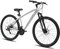 HILAND 29 Zoll Mountainbike Hardtail MTB mit Aluminiumrahmen 21 Gang Schaltung Scheibenbremse Federgabel Silber 482