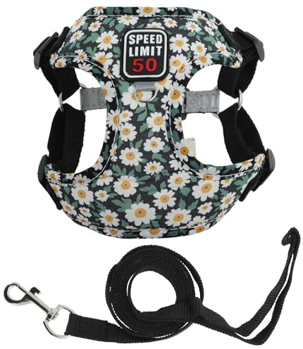 CAPASTEC Harnais Et Laisse pour Chien Chiot avec Bande Réfléchissante, Harnais Ajustable pour Promenades, Harnais pour Chien Chat De Taille Petite Et Moyenne, M, Noir