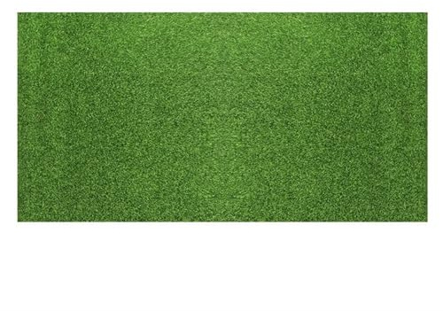 AYWTIUN Konstgräs, syntetiskt skum, simulering av rullgräs, falskt gräs, utomhusträdgårdsdekoration, gräsmatta heminredning (50 x 100 cm)