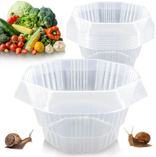 Lot de 6 colliers anti-limaces et escargots sans produits chimiques - En plastique - Réutilisables - Pour salade, chou, légumes (B)
