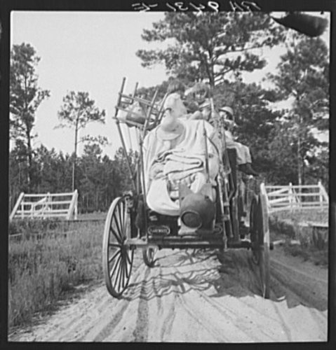 HistoricalFindings Photo: Turpentine Country,Florida,FL,Farm Security Administration,Dorothea Lange,FSA,1