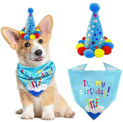 Bandane 'compleanno' per 'cane' di varie tipologie, bandana per ragazzi con cappello simpatico per feste di 'cane'