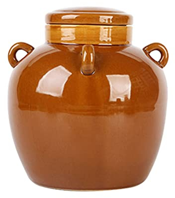 Cabilock 1pezzi Barattolo Ceramico Per Sottaceti Con Coperchio Contenitore Alimentare Da Cucina Stile Tradizionale e Compatto Per Marmellate e Spezie