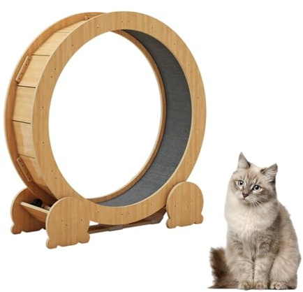 Rueda De Ejercicio para Gatos De Interior, Rueda De Entrenamiento para Gatos, Rueda Silenciosa De Gran Tamaño,67/87/97cm De Diámetro Fitness(Small)