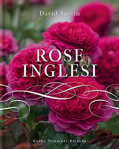 Guido Tommasi Editore