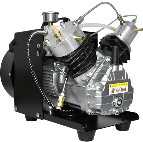TUXING Compressore d'aria Pcp 4500Psi, compressore d'aria per bombole da sub, compressore d'aria ad alta pressione mini-doppio cilindro per riempimento di bombole da paintball/scuba 220V (TXEDM041)