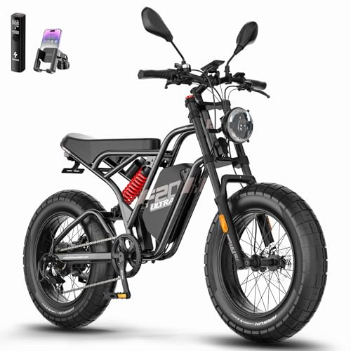 Fafrees F20 ULTRA Bici Elettrica Fatbike, Pneumatici Fat 20 * 5.0 Pollici Ebike, Batteria 48V/25Ah, Mountain Bike Elettrica Da Uomo, Autonomia 80-140 KM (Nero)