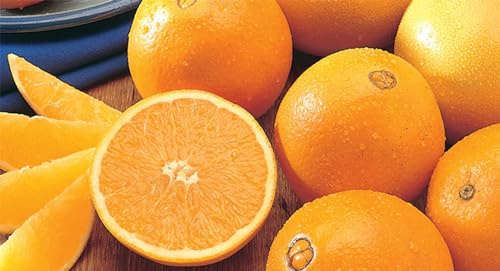 Kg. 5 di Arance Naveline Washington Navel di Corigliano-Rossano- Buccia edibile non trattate chimicamente