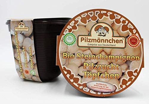 Bio Steinchampignon Pilzzucht Töpfchen - Pilze selber züchten