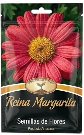 Flores de Temporada con Semillas de Margarita Reina para Jardín, Terraza y Balcón | DECOALIVE