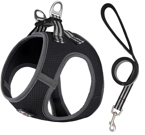 Lalazoo Miami Hundegeschirr Step-in – No-Pull leicht & atmungsaktiv gepolstert & reflektierend verstellbar mit Doppel-D-Ring & Sicherheitsverschluss für kleine Hunde Welpen inkl. Leine – Schwarz, L