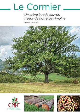 Le Cormier: Un arbre à redécouvrir, trésor de notre patrimoine
