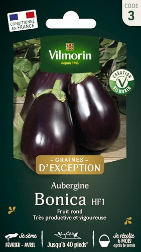 Aubergine Bonica HF1 - Graines d'Exception