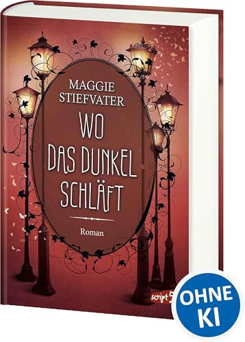 Wo das Dunkel schläft (Band 4): Entdecke die spannende Mischung aus Fantasy, Romantik und Spannung - Fantasyroman ab 14 Jahren