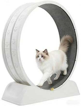 aichilra Cat Exercise Running Wheel Treadmill with Carpeted Runway & Safety Lock, Stable Comfort Design for Indoor Cats, Easy Clean Removable Mat, for Cat Lovers
