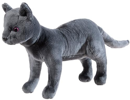 Skola för magiska djur katt GRS/PET karajan, grå