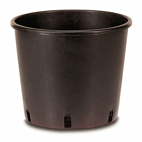 AlmaStore – Set 10 Vasi in Plastica 33x33 cm (25 LT) – Vasi forati per Piante, Fiori, Orto e Semina – Ideali per Giardinaggio Indoor ed Esterno – Plastica resistente