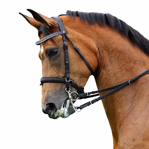 Saddles World Fancy Brown Center Pearl with Clear Blue Crystals Leather Browband - Full Size