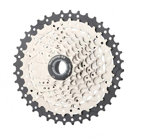 ENGWE MTB Ruota Libera per Bicicletta a 8/9/10/11/12 velocità, Pignone Leggero della Cassetta della Bicicletta, 11-32/36/40/42/46/50T Cassetta della Bicicletta Ruota Libera (9 velocità, 11-40T)
