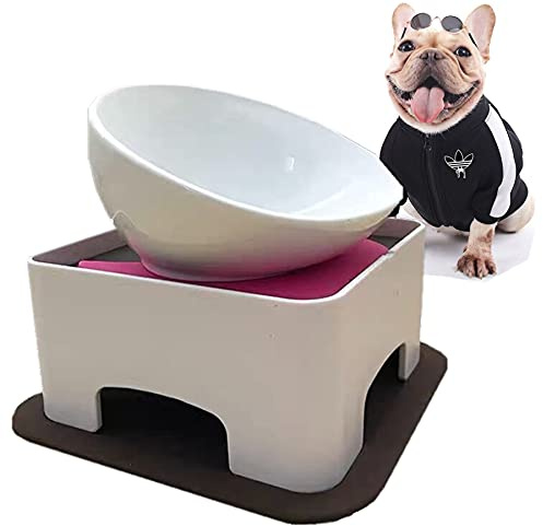 Bulldog - Cuenco antideslizante para perros y gatos, cuencos desmontables para perros y mascotas, estéril, inclinado, base inclinada (blanco, cerámica, 1.5 tazas)