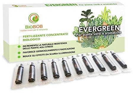 BIOBOB Evergreen - Concime Biologico per Piante verdi - Salvaspazio per piante da appartamento, balcone, in vaso, indoor - Fertilizzante liquido dose pronta all’uso