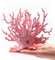 ANCLLO Künstliche Aquarium-Korallenzweigform, Kunstkorallenharz, lebendige Korallenpflanze, Ornament, bunt, Aquarium, Kunststoff, Wasserpflanze, Dekoration, Rosa, 17 x 13 cm