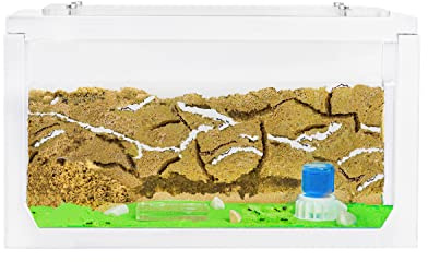 AntHouse.es - Hormiguero Natural de Arena 3D | Kit Inicio Blanco 20x10x10 cm | Granja de Hormigas | Colonia de Hormigas Incluida