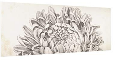 micasia Glas Spritzschutz magnetisch 4 mm starke Küchenrückwand Blumen Glasrückwand - Made in Germany - Retro Vintage ESG Wandpaneel beige Küche Herd Magnetwand 5443-M (125x50cm)