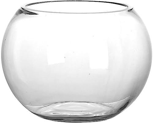 Vorratsbehälter Glas-Fischglas Blase Goldfischglas Rundes Glas Terrarium Blumenvase Hydrokultur-Pflanzgefäß Aquarium Bonbonglas Wunschflasche Für Mikrolandschaft 20 cm