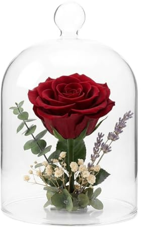 Hemobllo Glass Dome Display Case 6.3In Clear – Dustproof Cloche for Roses & Keepsakes – Table Centrepiece or Gift for Weddings