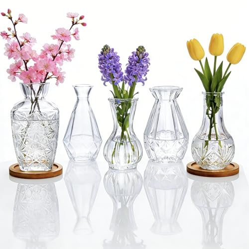 Otauoaea Lot de 5 Mini Vases en Verre - Déco Vintage Transparente - Vases à Fleurs pour Mariage et Centre de Table - Petits Vases de Table en Taille Multiple - Idée Cadeau Décoration Maison