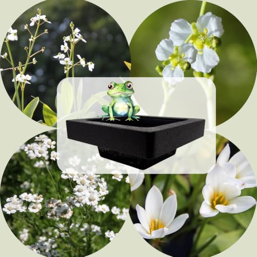 WASSERPFLANZEN WOLFF - FROG-ISLAND white - SCHWIMMINSEL inklusive Pflanzen - REIHERSCHUTZ - 4er-Mix mit Pflanzinsel - QUALITÄTSSTAUDEN im Pflanzkorb - Frosch-Insel für Gartenteich