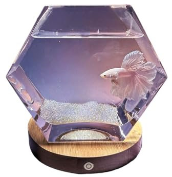 GLigeT Aquarien Tank 2024 Neues Kampffischaquarium mit Sockel, fünfeckig, transparentes Glas, kleines Aquarium, Wohnzimmer, Desktop, Aquascape, dekorative Ornamente Fischgläser