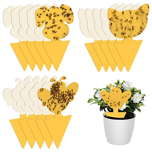 15 Stück Fliegenfalle Gelbsticker Trauermücken Bekämpfen, Fliegenfalle Klebefalle Steckbare Fliegenfänger, Gelbsticker Gelbtafeln für Innen und Außenbereich