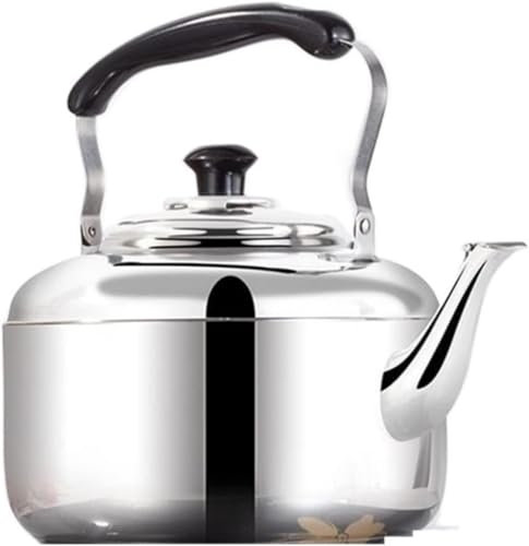 Tekanna med infusionsapparat Vattenkokare Te Vatten Spis Visslingskamin Tekanna i rostfritt stål till kokande kastruller Gas Kaffe Induktion Camping Tekanna-5L/1002(5L)