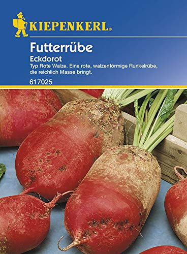 Rübensamen - Futterrüben Eckdorot, 15 g von Kiepenkerl