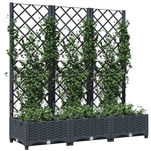 Keketa Garden Planter with Trellis Outdoor Entrance Balcony Patio Terrace Raised Bed Flower Box Climbing SuPolypropyleneort Plant Pot Dark Grey 120x40x121.5 cm Polypropylene